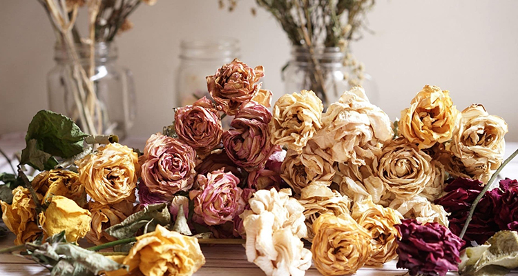 Fiori