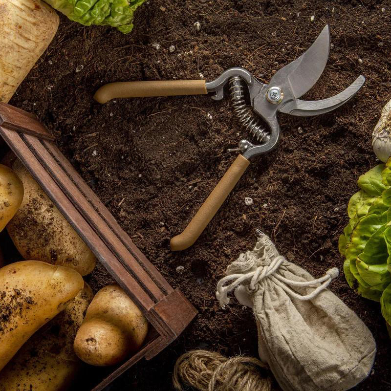 Detergente per bolle per prodotti agricoli