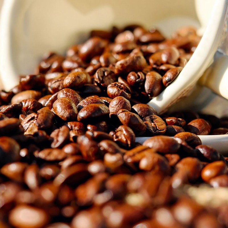 Attrezzatura per la liofilizzazione del caffè