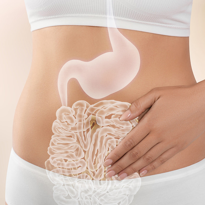 Centrifuga a bassa temperatura per prodotti liofilizzati per la salute gastrointestinale