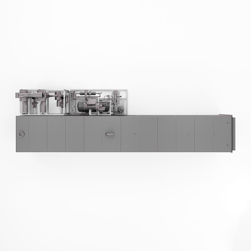 Liofilizzatore sottovuoto per prodotti liofilizzati snack salutari